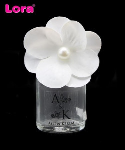 Cam Şişe Modelleri - 29613